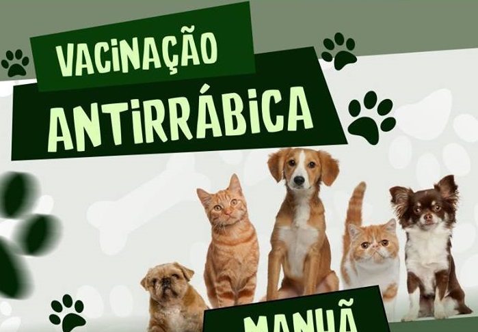 Vacinção antirrábica Simão Dias