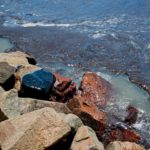 8de8f2caac0002f6e1fbe95a075ad50e