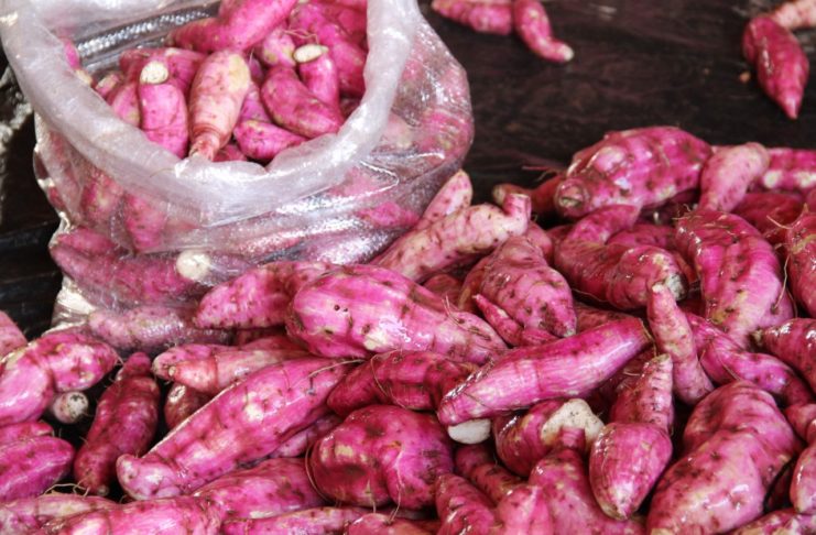 Batata-doce