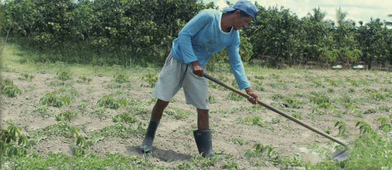 Governo de Sergipe aporta R$ 1,2 milhão para pagamento do seguro garantia-safra 2019