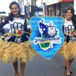 Sergipanizando