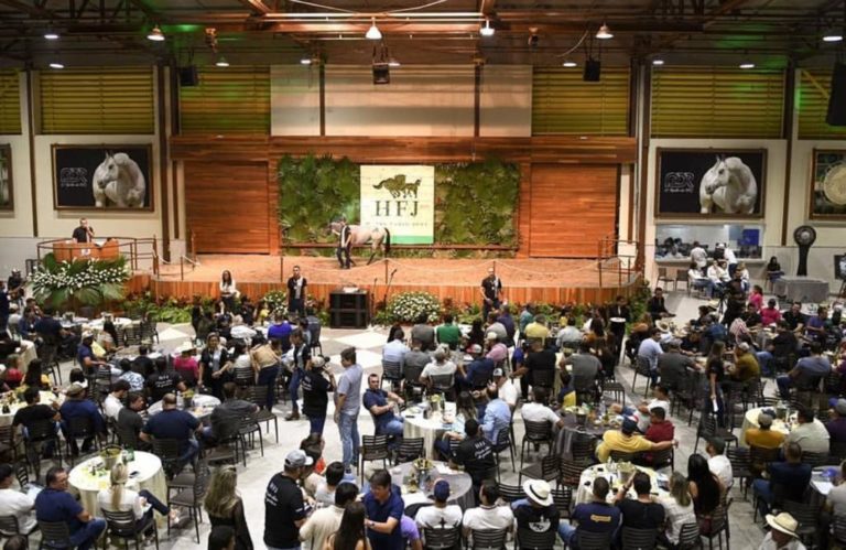 Leilão ocorrido no Haras Fábio José gera faturamento de R$ 2,1 milhões