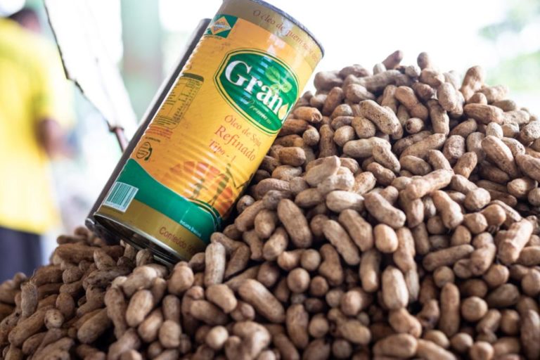 Amendoim já sai cozido do perímetro irrigado Piauí