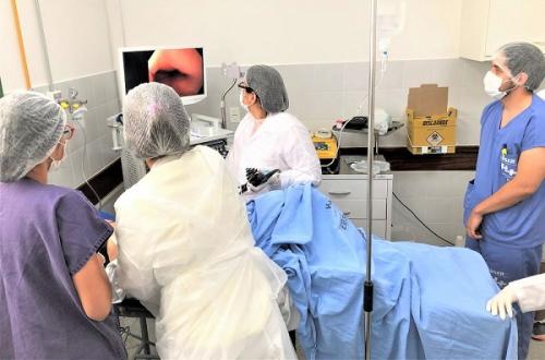 HUL inicia Serviço de Endoscopia Digestiva
