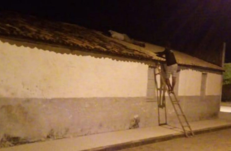 Foto: Elenilton Santos