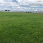 whatsapp-image-2019-12-19-at-18.19.43-1-