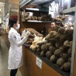 372b6f67-6736-4a59-a370-d6451ae925b3