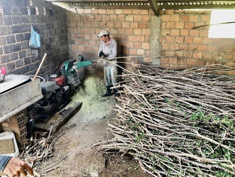 Prefeitura de Riachão do Dantas capacita produtores rurais de mandioca