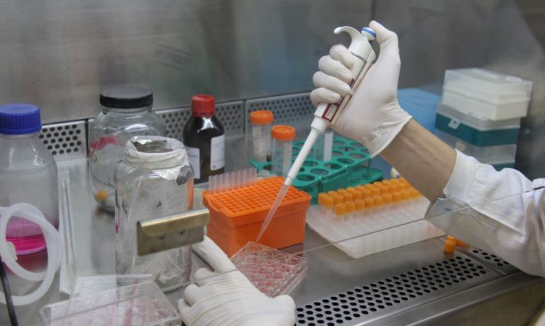 Banco do Nordeste seleciona projetos de pesquisa sobre coronavírus