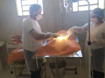 Zoonoses de Lagarto realiza cirurgias gratuitas para a castração de pets