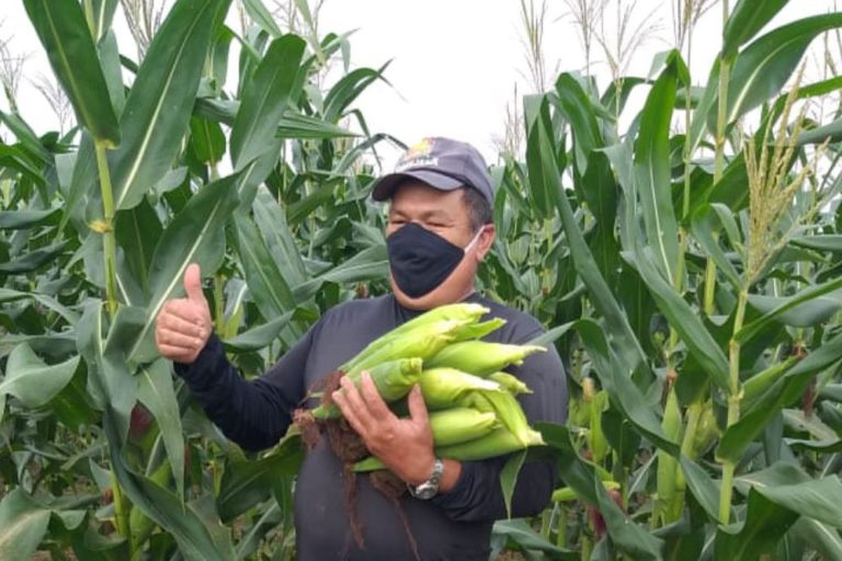 Perímetro do Piauí foi o que menos sentiu os efeitos da pandemia, diz Cohidro