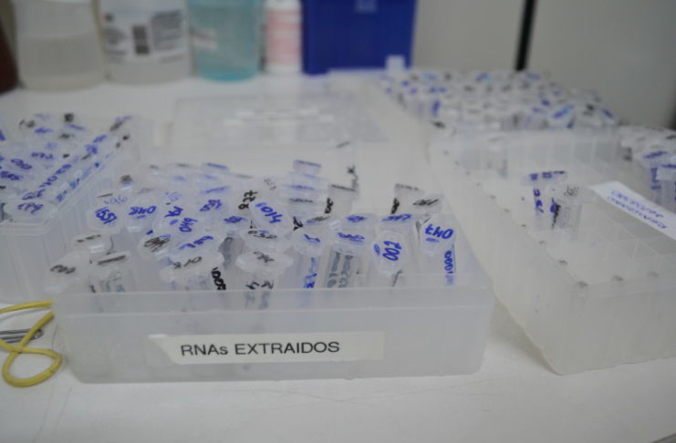 Amostras-passam-por-processamento_20extra