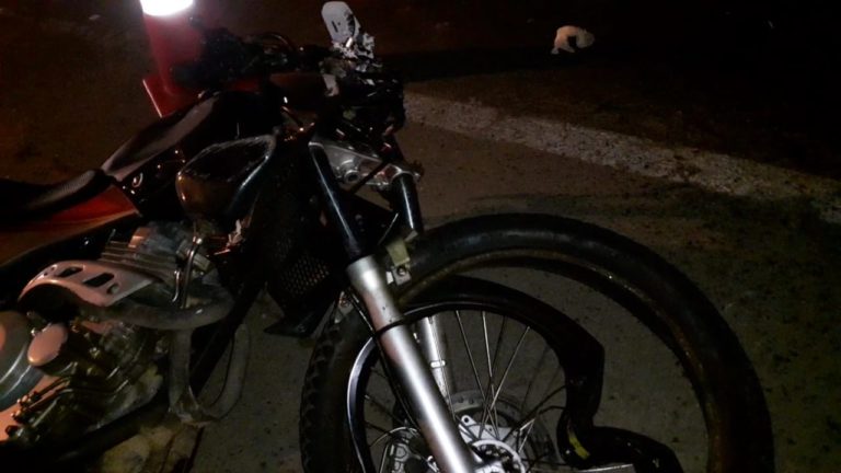 Motociclista morre após colidir com cavalo em Lagarto