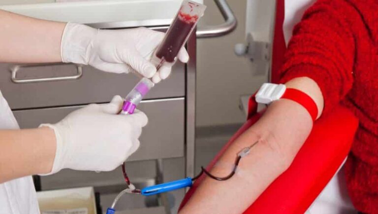 Voluntário pode agendar doação de sangue no Hemose