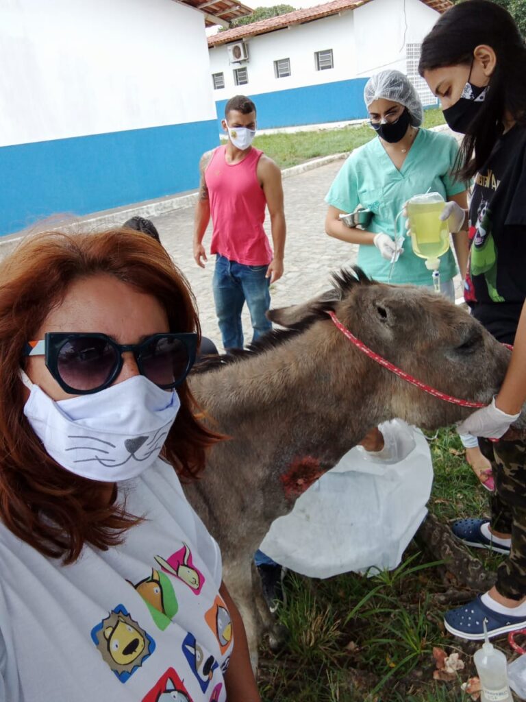 Protetora Vera Silva ajuda a resgatar mula atolada em Lagarto
