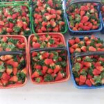 Morangos