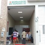 Morangos do Nordeste