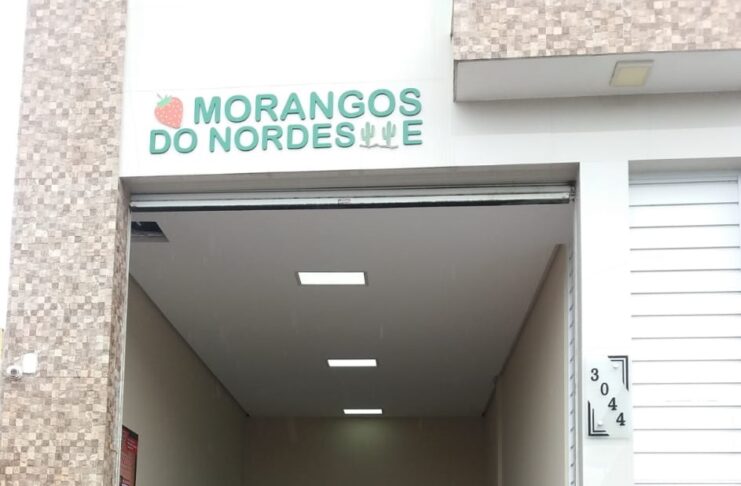 Morangos do Nordeste