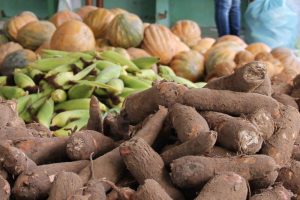 Aquisição de gêneros alimentícios da merenda escolar segue até dia 26