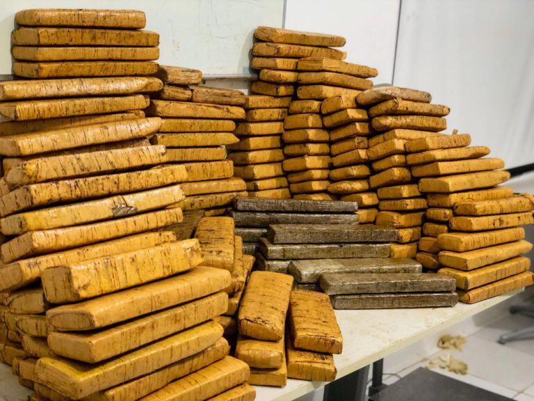 Polícia Civil apreende 175kg de maconha em Areia Branca