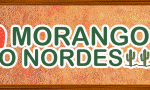 morangos-nordeste-gif-ex-01