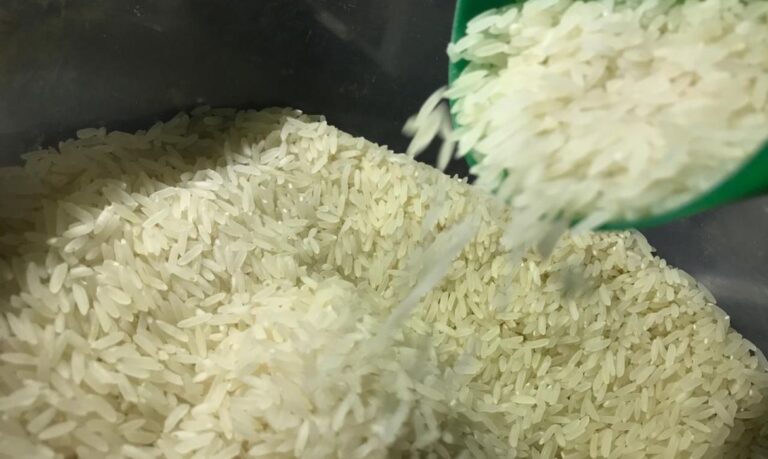 Governo zera imposto importação do arroz até o final do ano