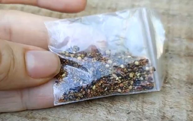 Emdagro alerta sobre recebimento de sementes vindas do exterior