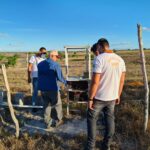 20f72e3d70a7c5af2a05eebd036590cf