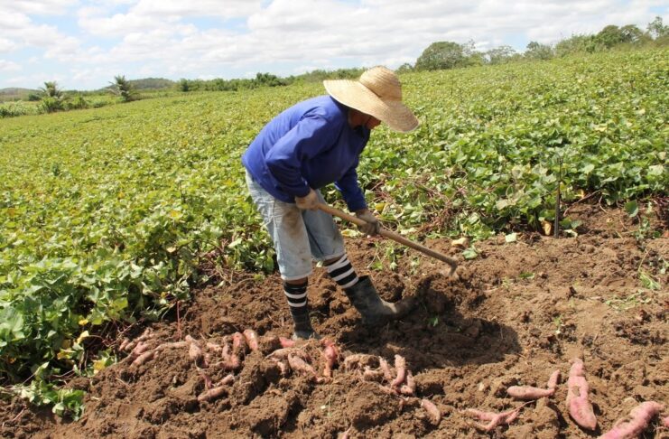 8cb6da9e9cc1cb91b043e244df0c9734