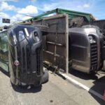 2525a6d6-a70e-476d-a8ff-e1820a603a8b