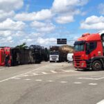 7c8262dc-a065-4042-ab40-7ee08a6cd7f5