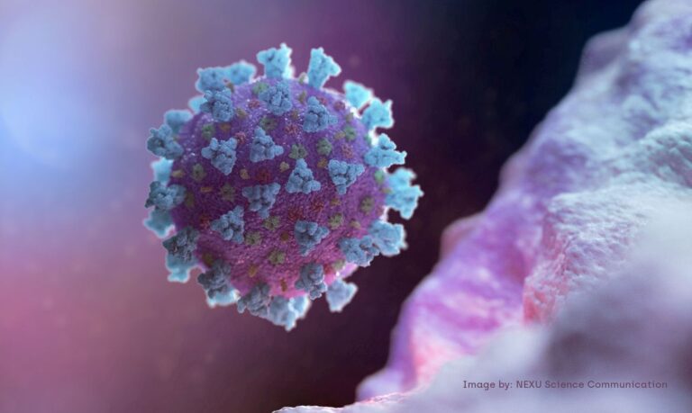 Origem animal do novo coronavírus é ‘muito provável’, diz relatório da OMS