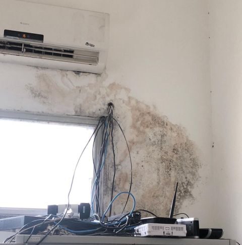 BCCCE29B-C52D-4122-AF75-73EB782D718D