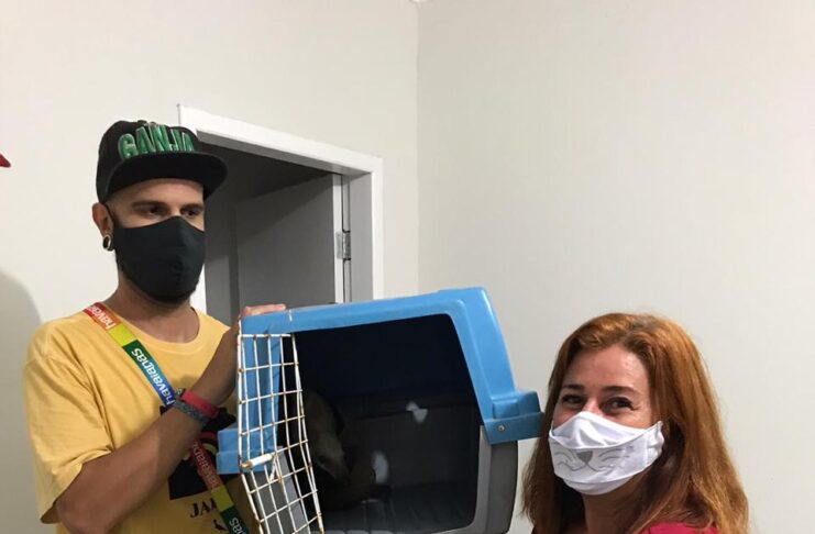 Ação da protetora Vera salvou a vida do animal e evitou que danos maiores ocorressem
