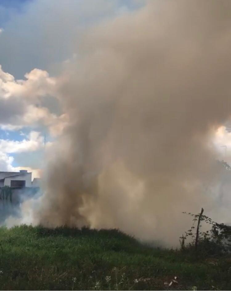 Incêndio atinge terreno próximo ao Mercado Municipal em Lagarto