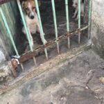 WhatsApp Image 2021-02-04 at 16.54.49