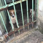 WhatsApp Image 2021-02-04 at 16.54.49