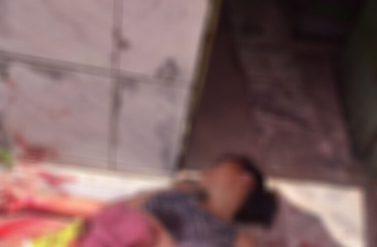 Mulher foi internada em estado grave