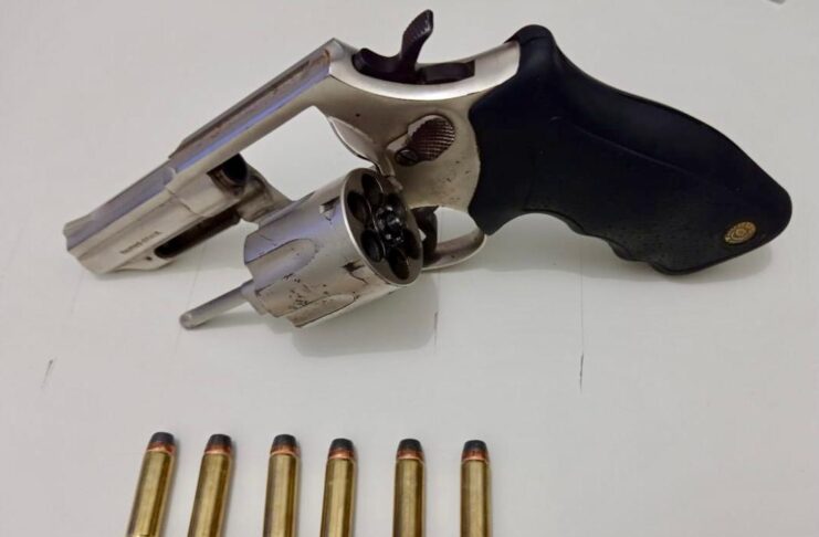 capa-lagarto-op