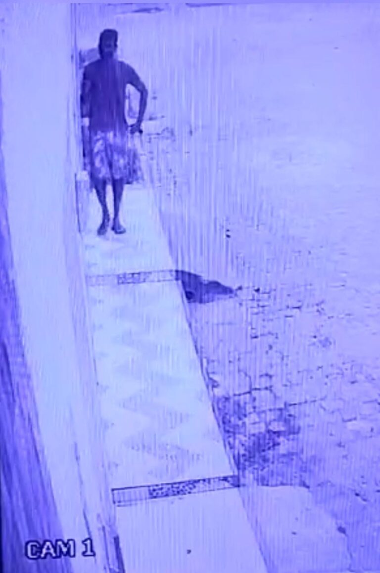 Suspeito de diversos furtos em Lagarto é preso em flagrante