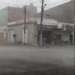 Sem título