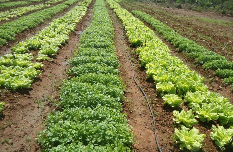 118c299ae11c2023ab684ad89cc09b38