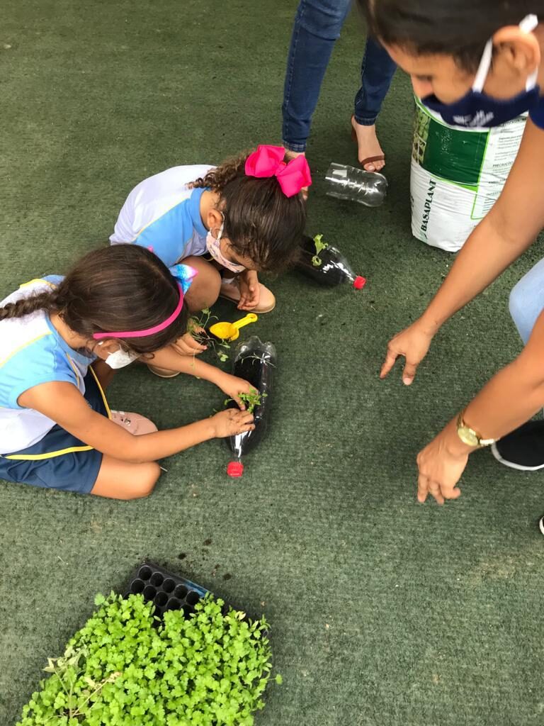 Na Semana do Meio Ambiente, técnicos da Prefeitura de Lagarto ensinam estudantes a criar uma horta urbana