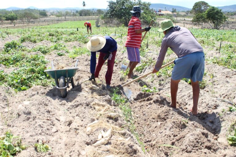 Governo prorroga inscrições para o Programa de Aquisição de Alimentos Estadual até 9 de julho