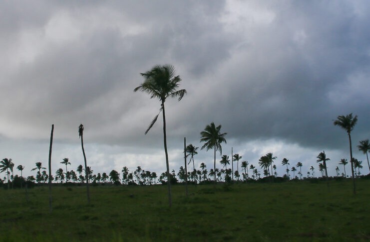 20210615-Sedurbs-Tempo-no-Campo-3488