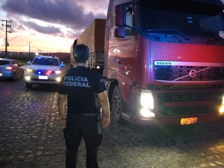 PF realiza em Sergipe a maior apreensão de maconha paraguaia do NE