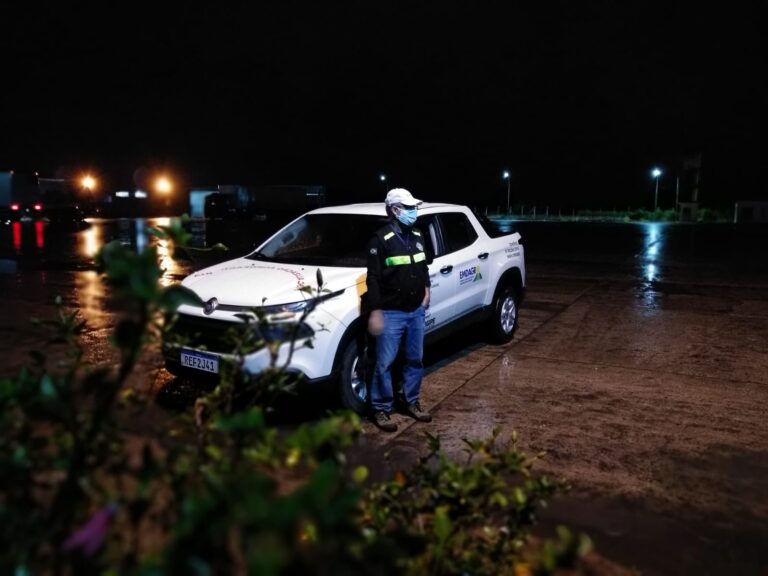 Emdagro apreende mudas clandestinas em Lagarto e região