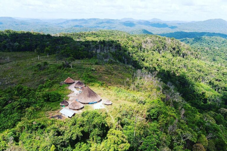 Ministério da Saúde conclui que crianças Yanomami morreram de diarreia e vômito
