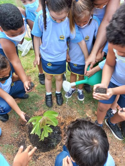 Prefeitura realiza ação em comemoração ao Dia da Árvore