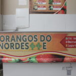 XANG0048